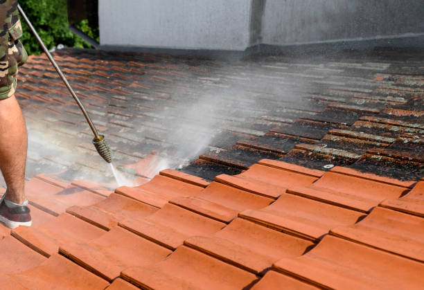 Best Concrete Pressure Washing  in Solon, IA
