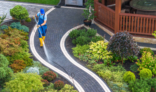 Best Pressure Washing Company Near Me  in Solon, IA